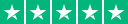 Trustpilot 5 Star Rating